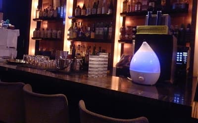 オアシスの店内2